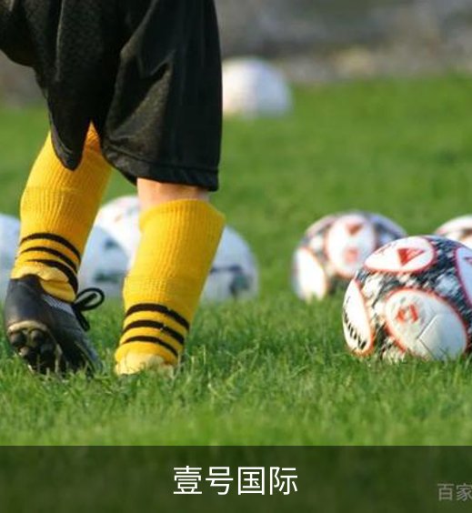 了解壹号国际